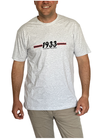 Camiseta La Bandera Está Alzada