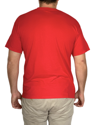 Camiseta España Una sola nación
