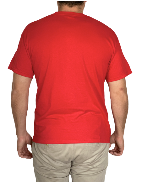 Camiseta España Una sola nación