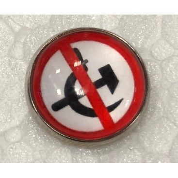 PIN Anticomunista